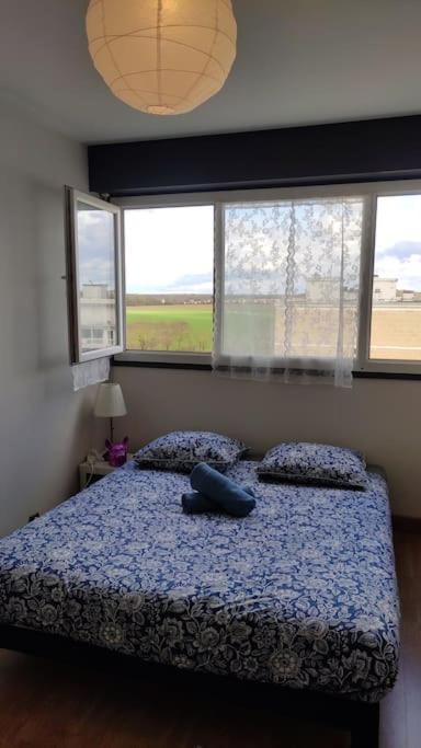 Charmant Appartement Proche Melun Centre Ville Екстер'єр фото